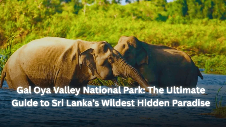 Gal Oya Valley National Park: The Ultimate Guide to Sri Lanka’s Wildest Hidden Paradise featured image