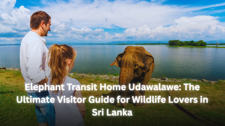 Elephant Transit Home Udawalawe: The Ultimate Visitor Guide for Wildlife Lovers in Sri Lanka featured image