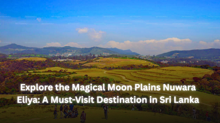 Explore the Magical Moon Plains Nuwara Eliya: A Must-Visit Destination in Sri Lanka featured imaage