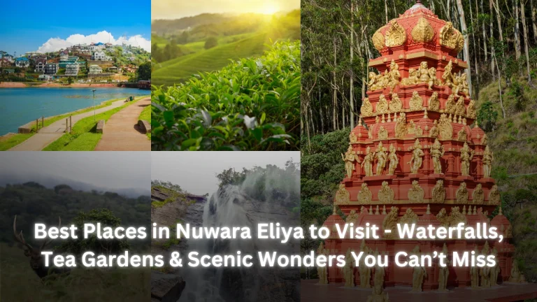 Best Places in Nuwara Eliya to Visit - Waterfalls, Tea Gardens & Scenic Wonders You Can’t Miss Featured image