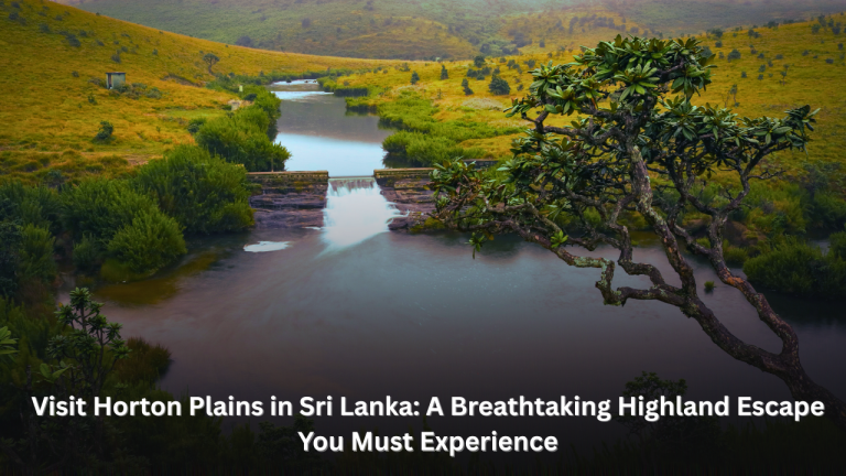 Visit Horton Plains in Sri Lanka: A Breathtaking Highland Escape You Must Experience featured image