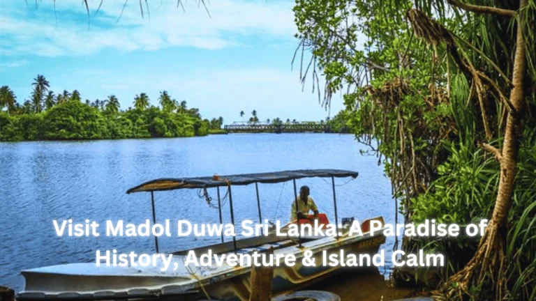 Visit Madol Duwa Sri Lanka: A Paradise of History, Adventure & Island Calm featured image