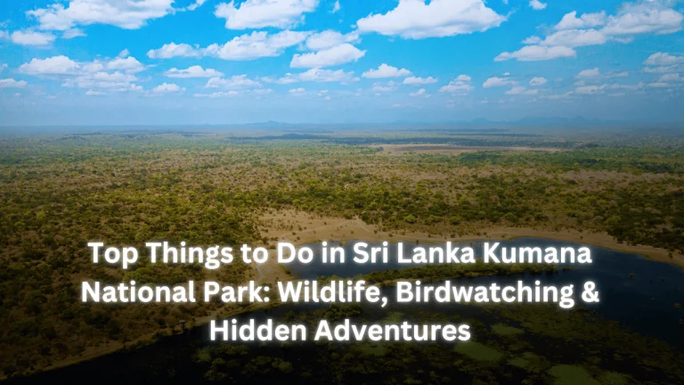 Top Things to Do in Sri Lanka Kumana National Park: Wildlife, Birdwatching & Hidden Adventures featured image