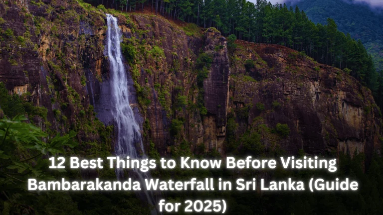 12 Best Things to Know Before Visiting Bambarakanda Waterfall in Sri Lanka (Guide for 2025) featured image
